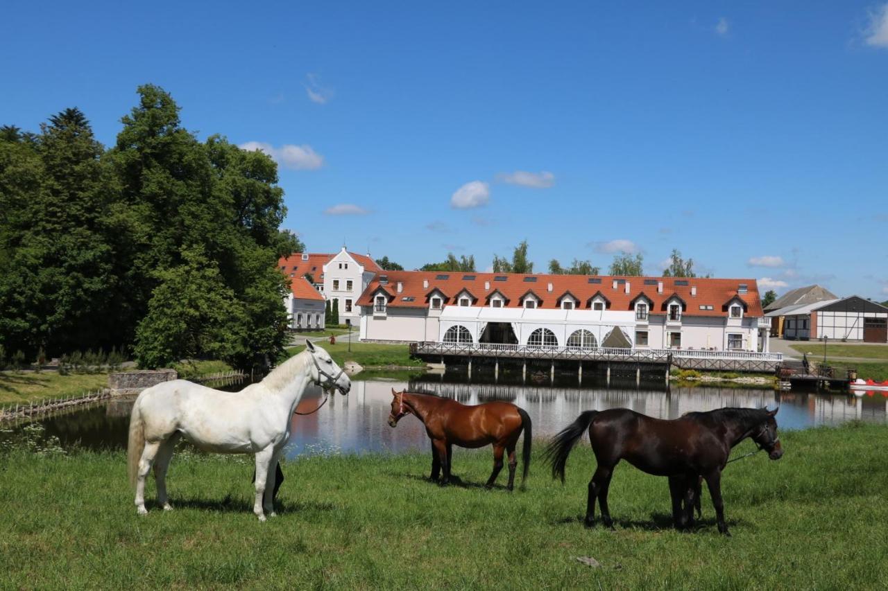 Palac Mortegi Hotel & Spa- Restauracja Szlachecka, Spa, Basen, Sauny, Jazda Konna, Mini Zoo- Luksus, Relaks I Przyroda W Jednym! Lubawa Екстер'єр фото